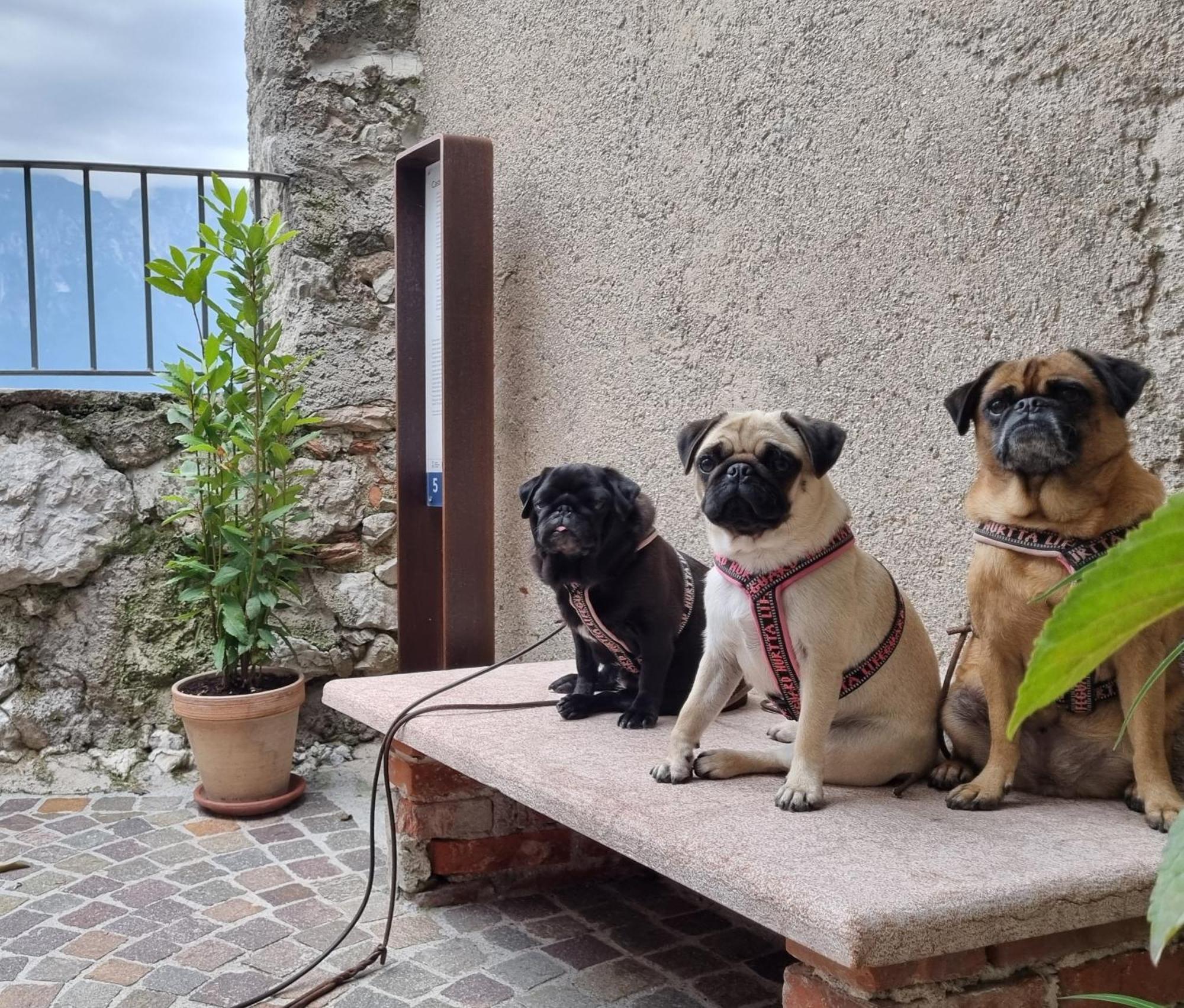 Locanda Al Castelletto Tremosine Bagian luar foto